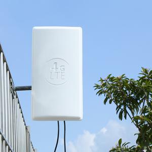 Ăng ten Thu Sóng 3G 4G Ngoài trời cho bộ phát wifi 4G SMA/TS9